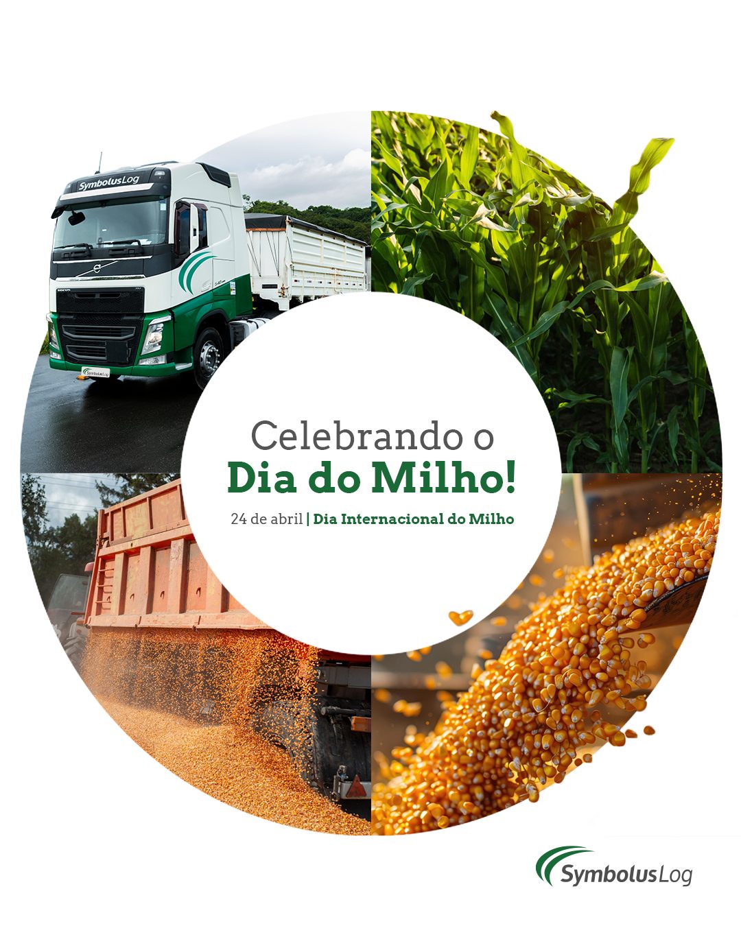 Na nossa operação logística, sabemos que cada grão conta. Hoje, homenageamos o milho, um dos alimentos mais importantes do Brasil. Na Symbolus Log, você conta com uma logística eficiente e dedicada. ✅ Transporte seguro e pontual ✅ Certificação GMP ✅ Compromisso com o agronegócio ✅ Eficiência em cada etapa do processo Porque entregar com cuidado é tão importante quanto cultivar com paixão! Symbolus Log: a marca da excelência em cada rota. #SymbolusLog